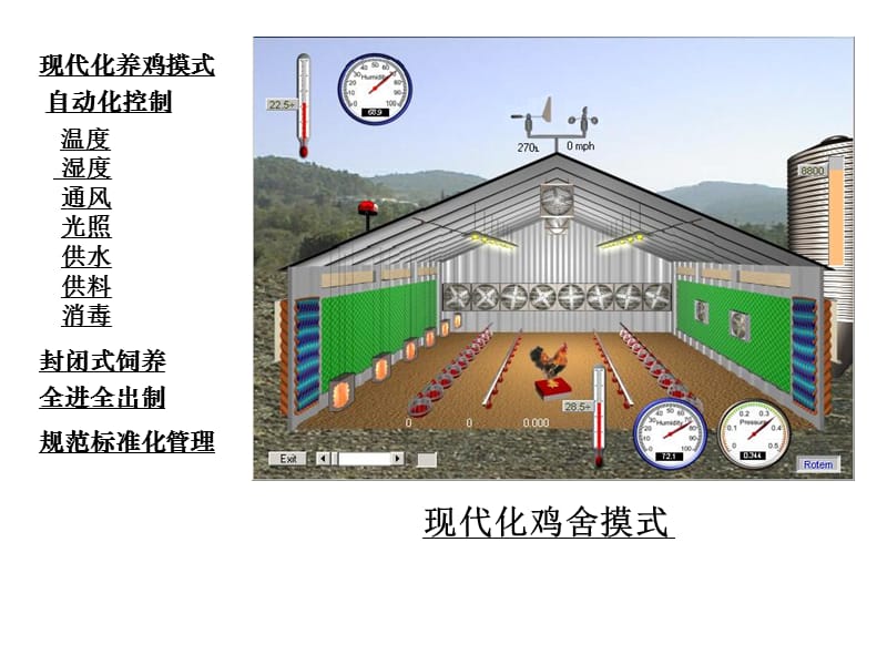 现代化鸡场肉鸡养殖技术--义- 潍坊资料.ppt_第3页