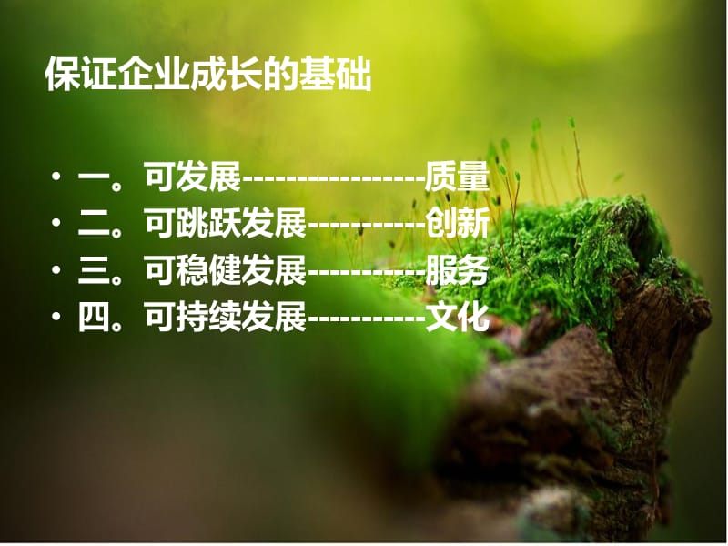 罗麦的企业文化.ppt_第2页