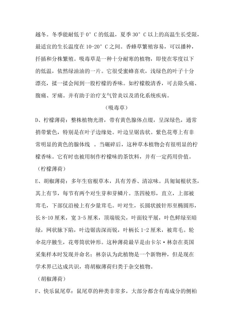 玫瑰引种实习报告.doc_第3页