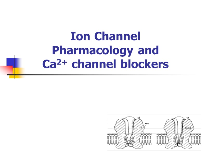 离子通道概论及中钙通道阻滞药.ppt_第1页