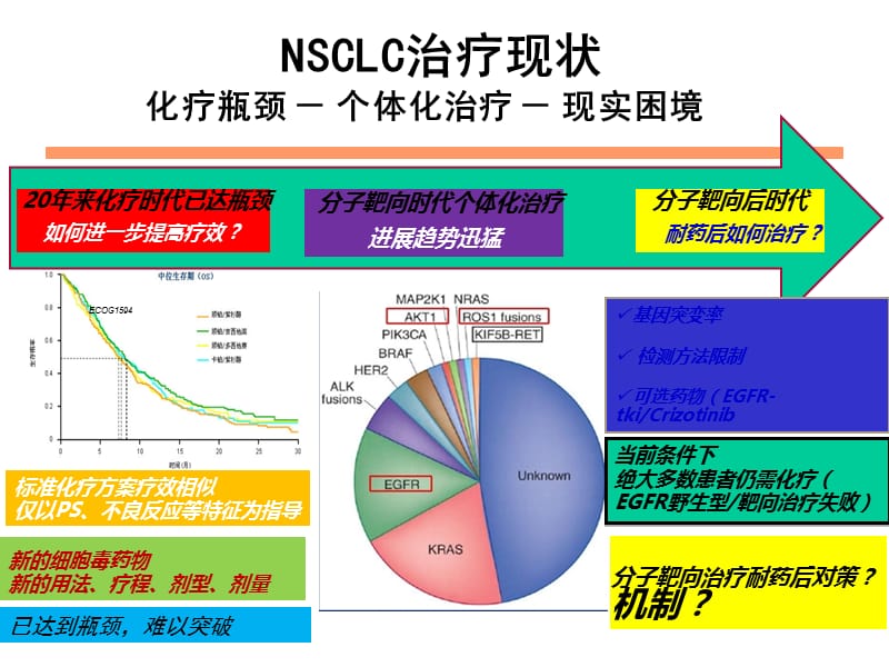 河南省肿瘤医院刘杰-nsclc靶向治疗现状与展望p的pt课件.ppt_第3页