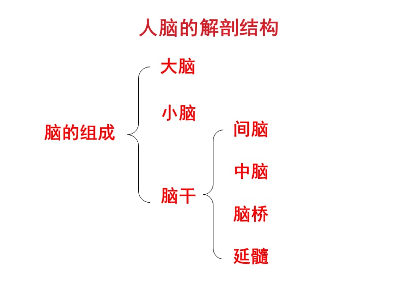 脑血管疾病对诊断与治疗.ppt_第3页