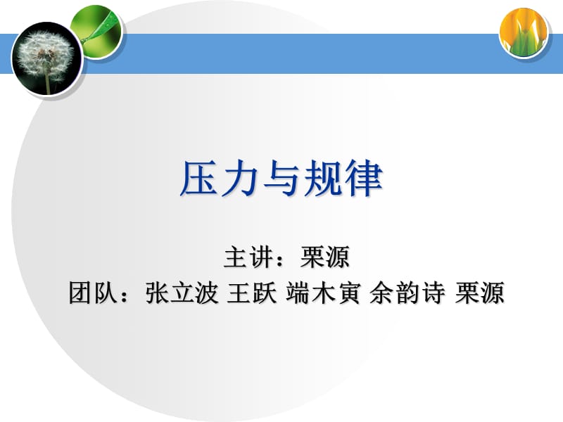 压力与规律.ppt_第1页