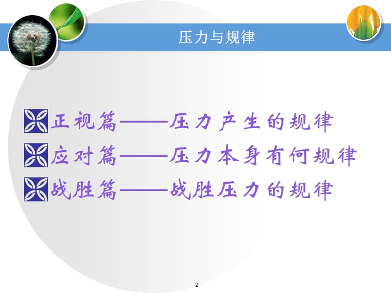 压力与规律.ppt_第2页