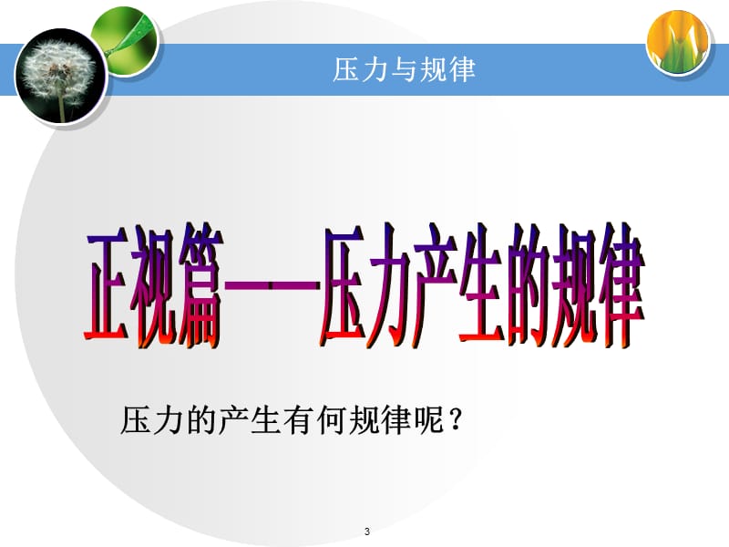 压力与规律.ppt_第3页