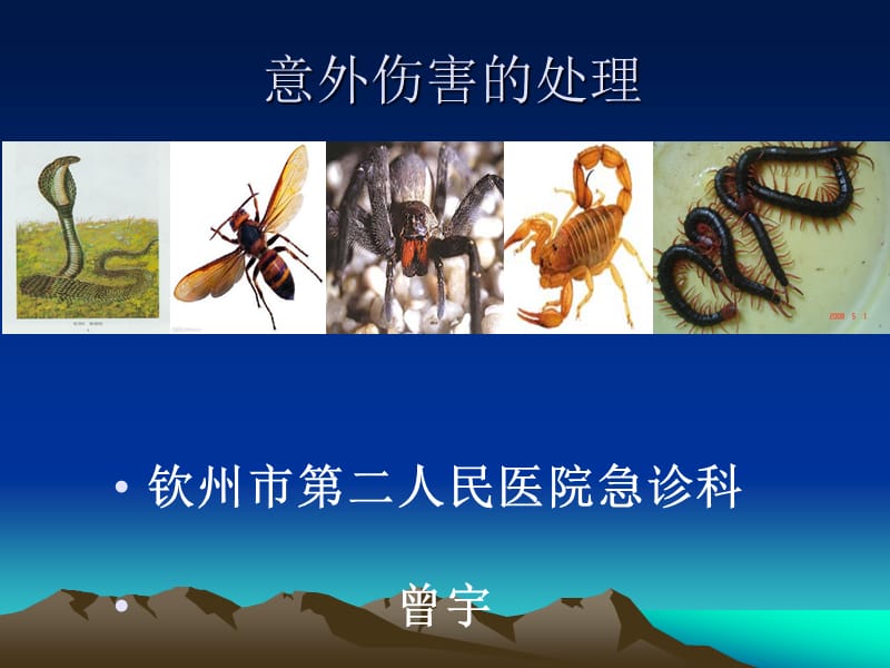 蛇蜂蝎蜘蛛蜈蚣咬伤四ppt课件.ppt_第1页