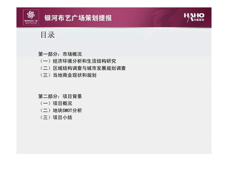 贵阳银河布艺广场专业市场商业项时目策划报告.ppt_第2页