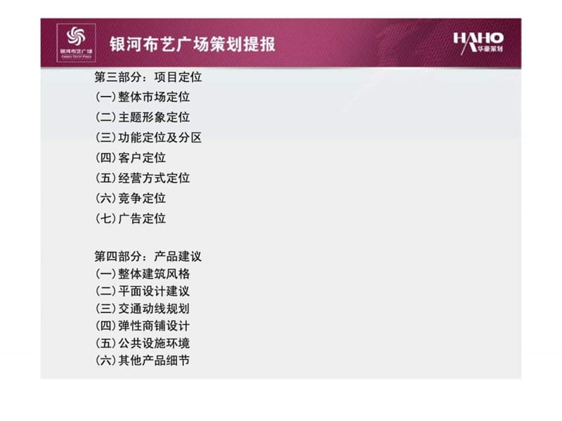 贵阳银河布艺广场专业市场商业项时目策划报告.ppt_第3页
