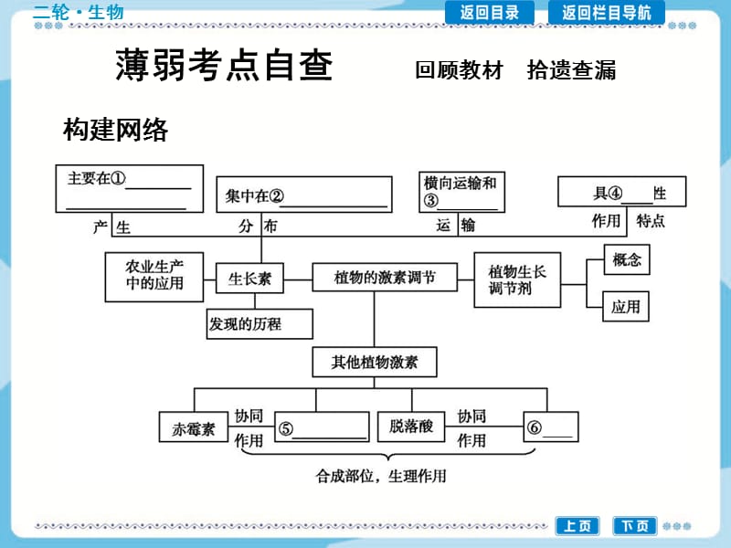 小专题13植物的激素调节.ppt_第2页