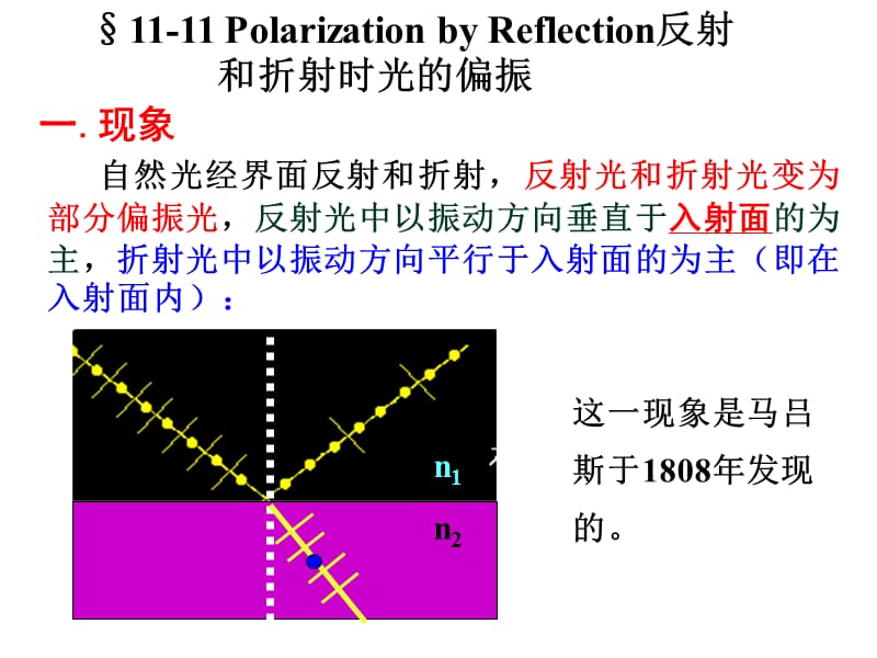 11-11反射光和折射光的偏振.ppt_第1页