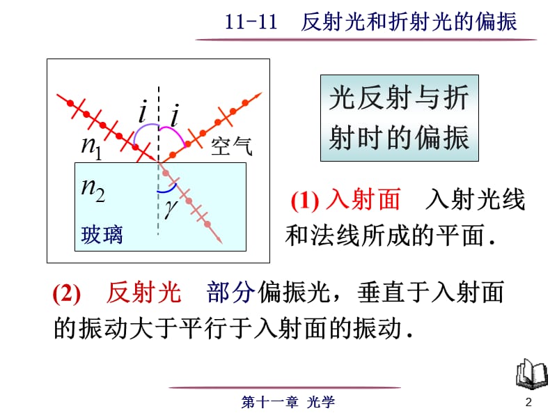 11-11反射光和折射光的偏振.ppt_第2页