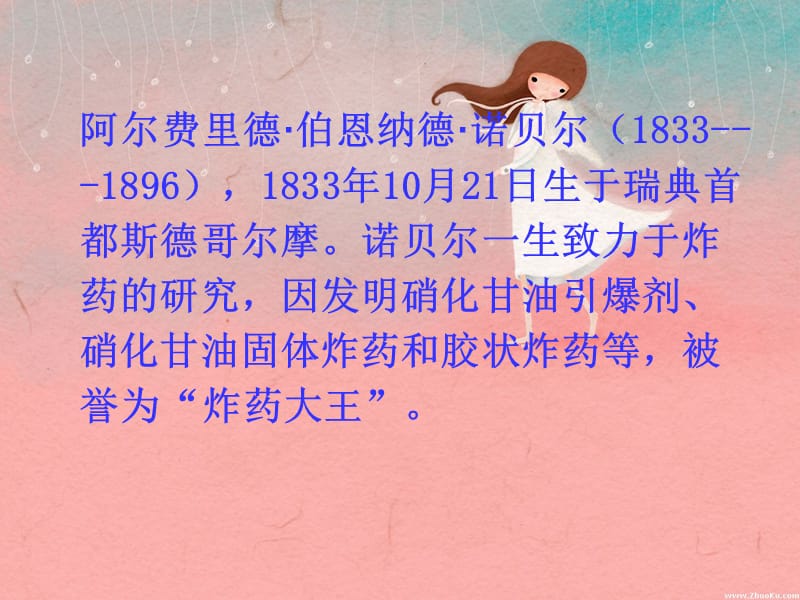 21诺贝尔.ppt_第2页