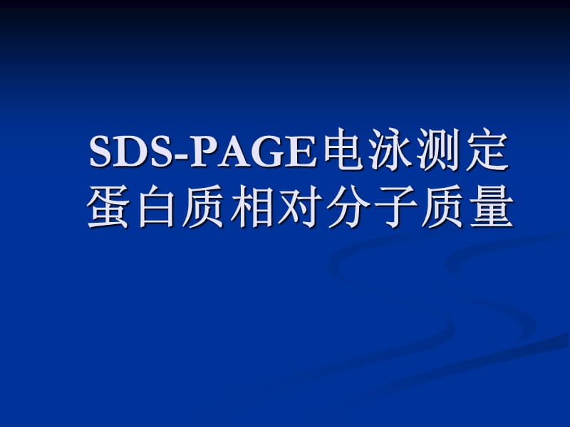 SDS-PAGE电泳测定.ppt_第1页