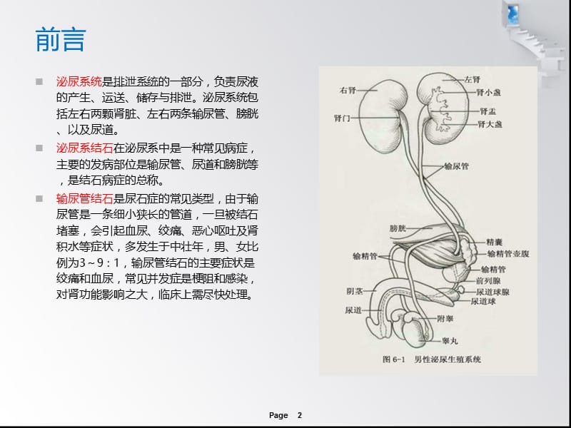 输尿管结石患者的点护理查房ppt课件.ppt_第2页