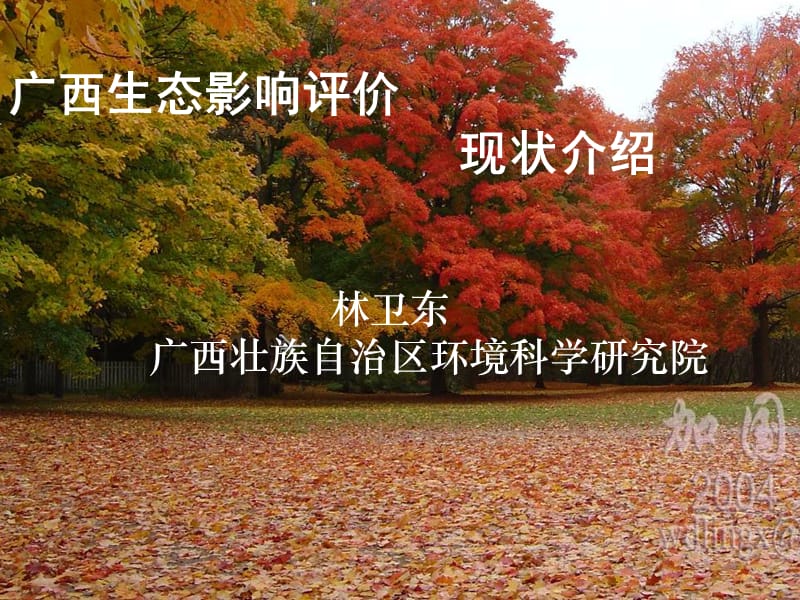 广西生态环境影响评价-林卫东.ppt_第1页