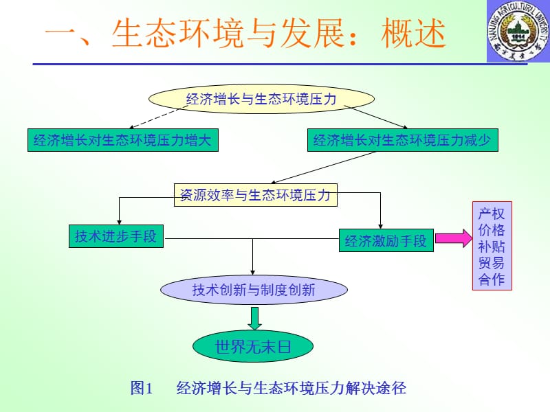 中国农村生态管理：问题与政策南京农业大学曲福田教授.ppt_第3页