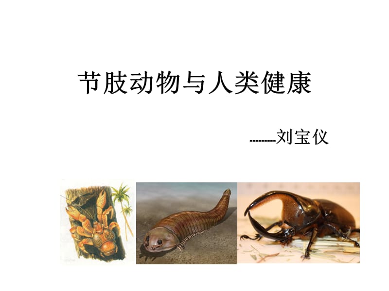 节肢动物与中人类健康.ppt_第1页