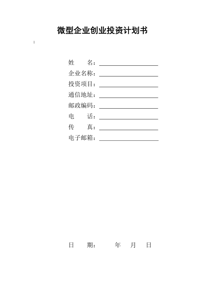 微型企业创业投资计划书.doc_第1页