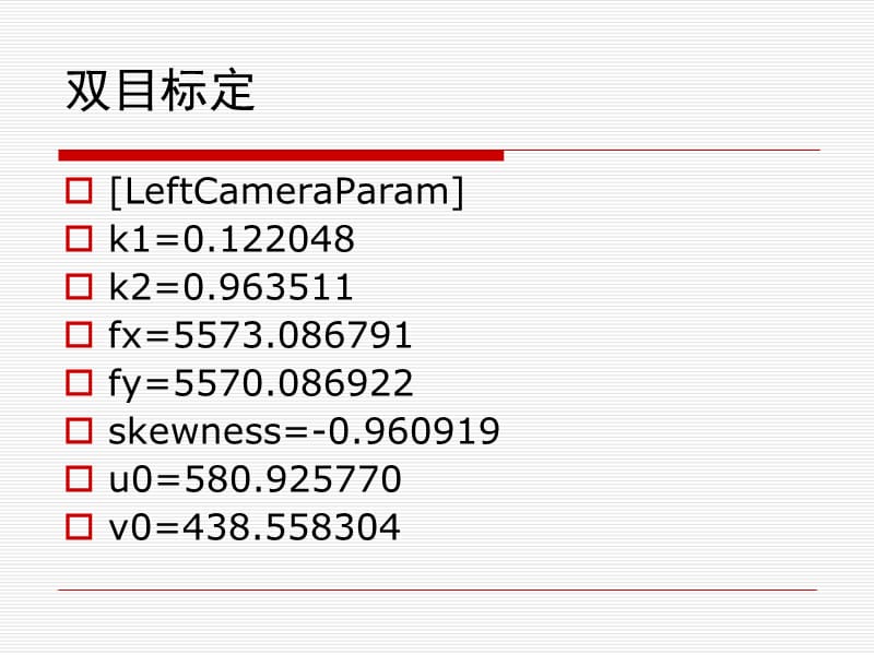 双目系统报告.ppt_第2页