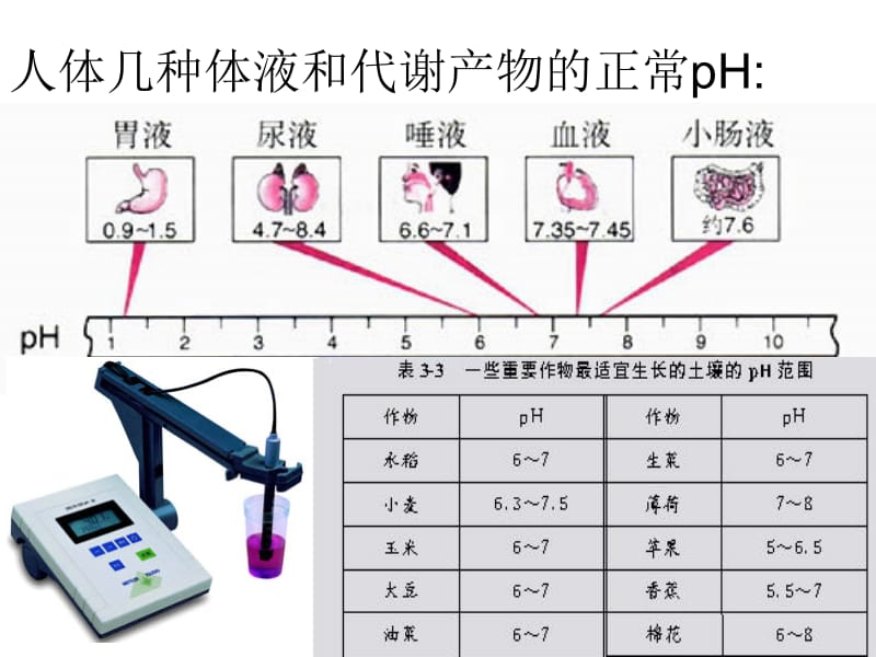 三pH的应用.ppt_第2页