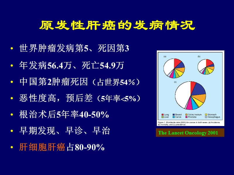 肝脏疾的病的诊疗ppt课件.ppt_第1页