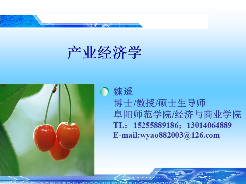 产业经济学1.ppt_第1页