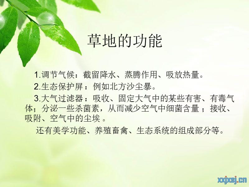 校园人工草坪.ppt_第3页