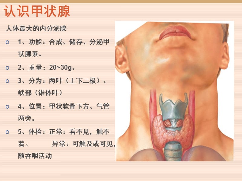 颈部疾病但教学PPT.ppt_第3页