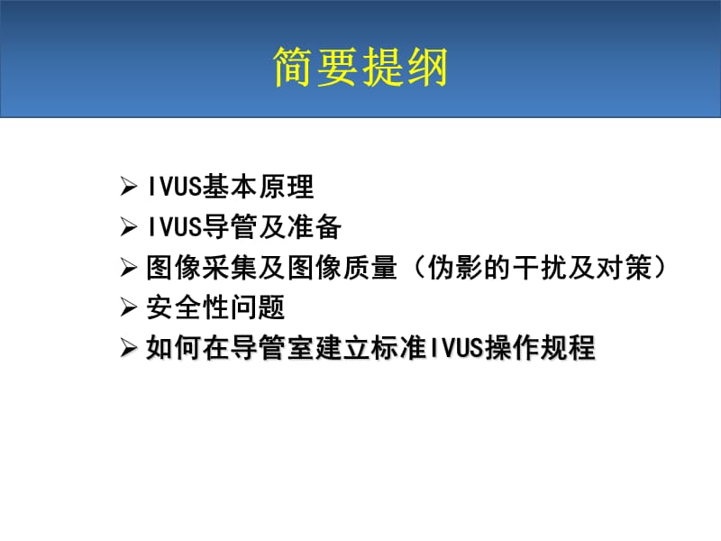 血管内超声IVUS简介.ppt_第2页