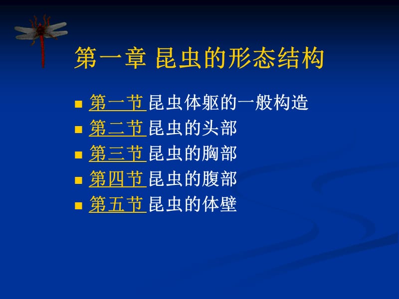 昆虫的形态结构.ppt_第1页