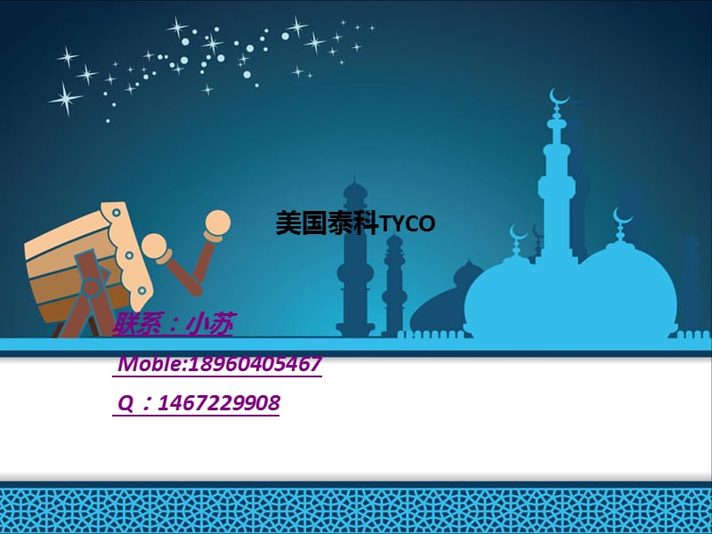 美国泰科TYCO.ppt_第1页