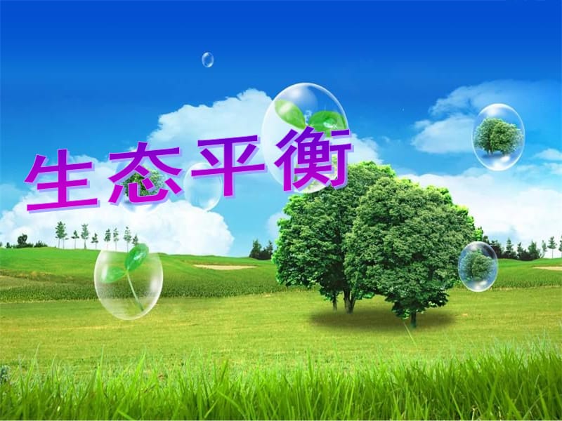 生态平衡课件.ppt_第1页