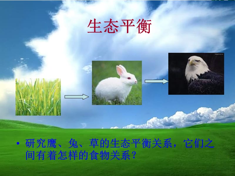 生态平衡课件.ppt_第2页