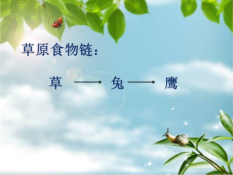 生态平衡课件.ppt_第3页