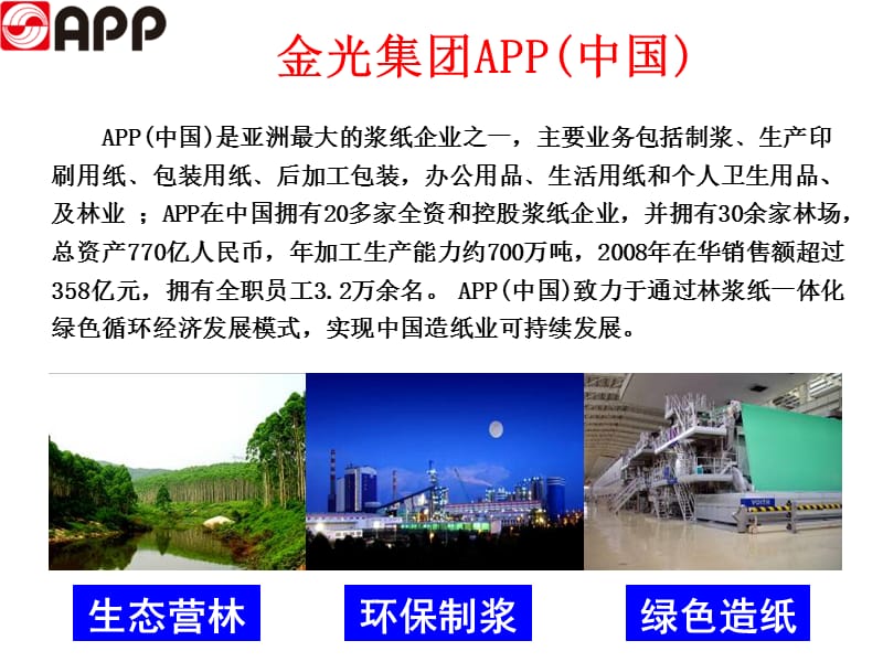 金光集团APP(中国)林浆纸一体化绿色循环(桂林分会议).ppt_第2页