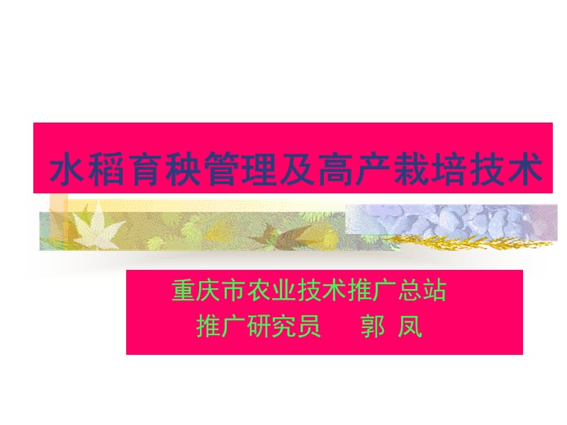 水稻育秧管理及高产栽培技术.ppt_第1页