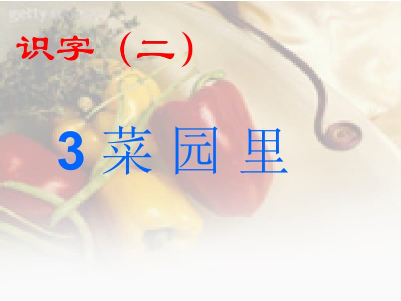 菜园里《6》.ppt_第3页