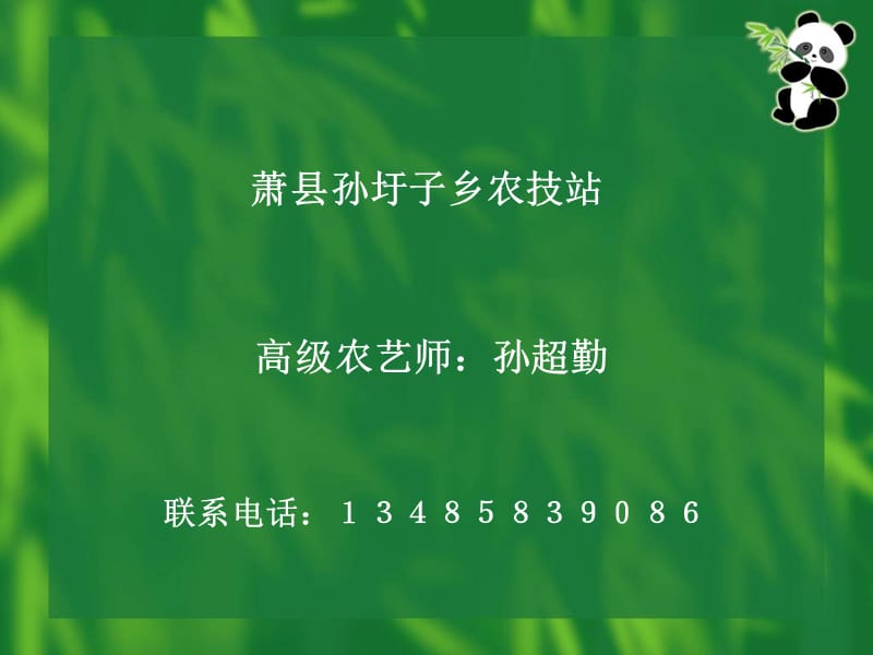 胡萝卜栽培技术课件.ppt_第2页