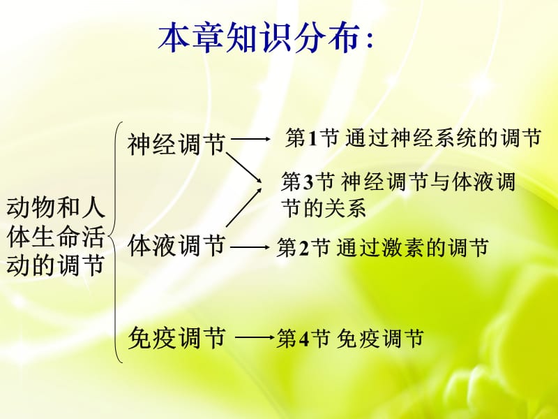 通过神经系统的调节12p发pt课件.ppt_第2页