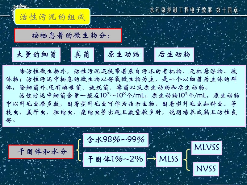 污水处理-活性污泥法.ppt_第3页