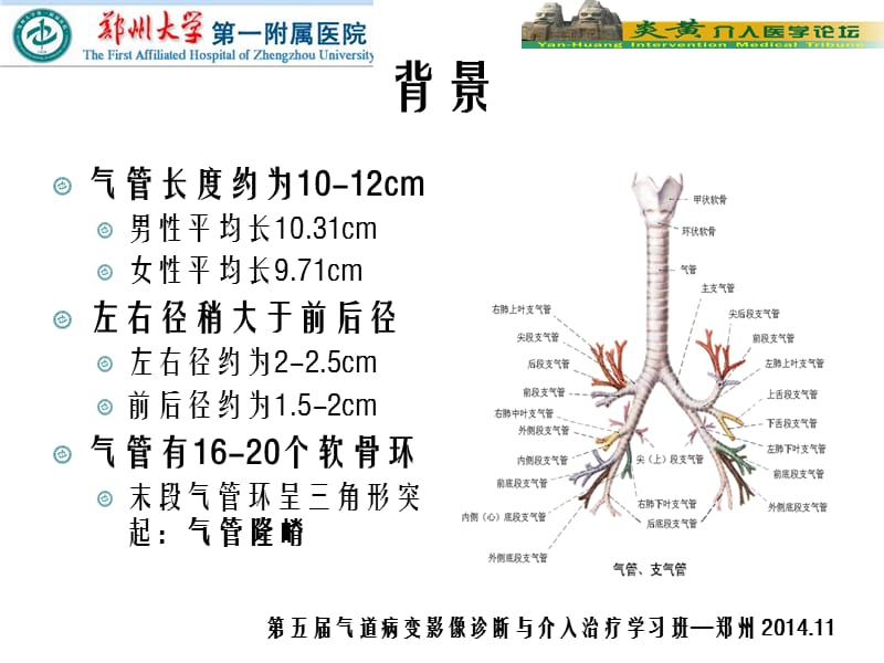 重度气道狭窄：x线下活检技术的ppt课件.ppt_第2页