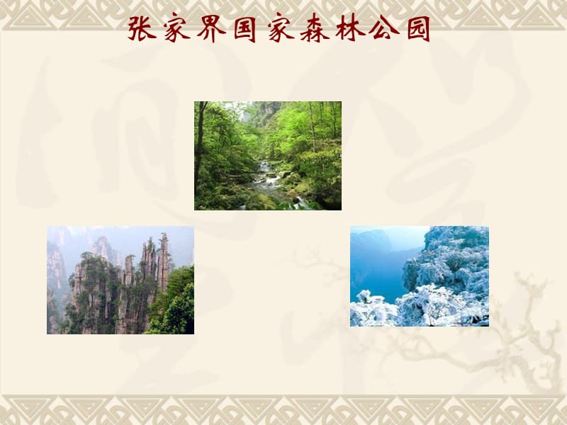 旅游资源类型——生物景观.ppt_第3页