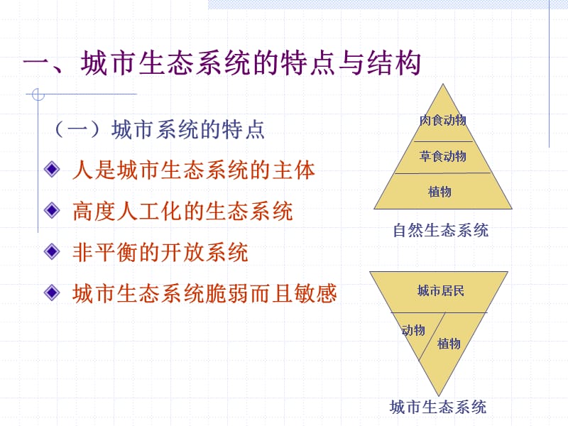 聚落地理学-生态系统.ppt_第3页