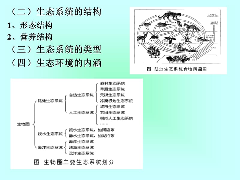 旅游资源与环境研究-第5讲-旅游资源与环境研究环境生态学原理.ppt_第3页