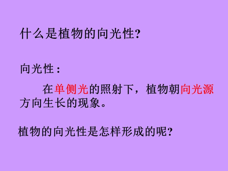 生长素的发现过程.ppt_第3页