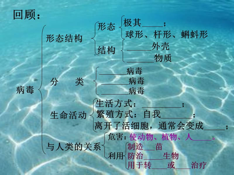 6-1-1尝试对生物进行分类.ppt_第2页