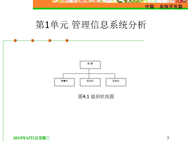 管理信息系统分析与设计.ppt_第3页