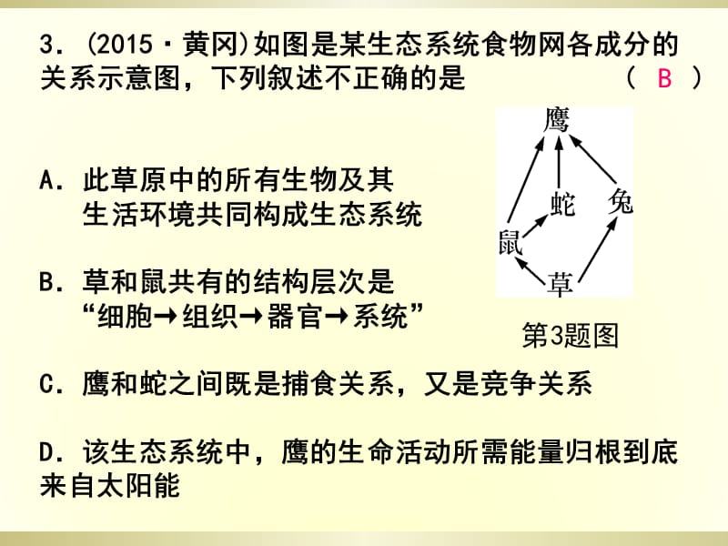 课后练习3种群、群落和生态系统.ppt_第3页