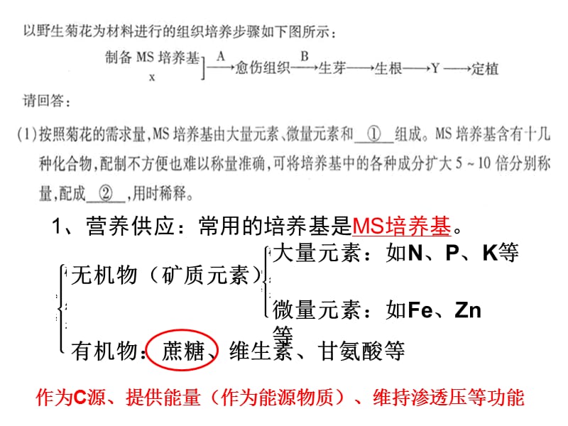 自选模块专题复习组织培养.ppt_第3页