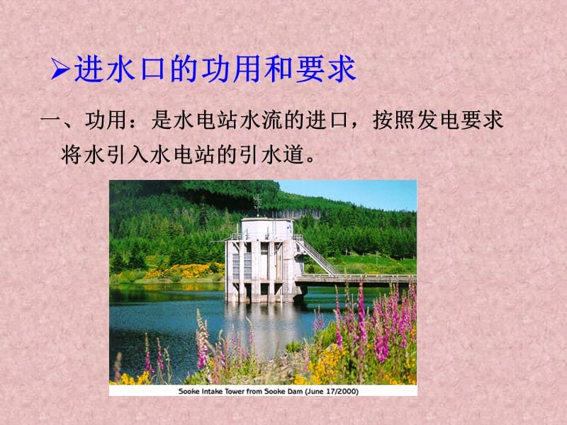 水电站建筑物-第二章-进水口与沉砂池-1.ppt_第2页